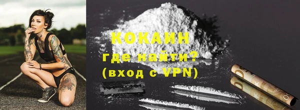 ПСИЛОЦИБИНОВЫЕ ГРИБЫ Новозыбков