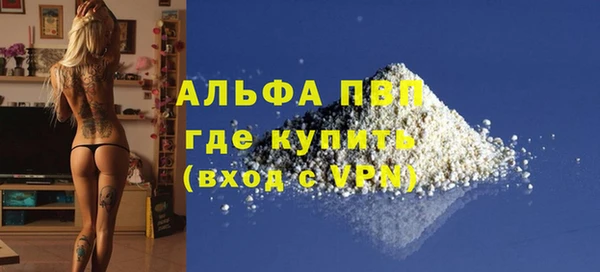ПСИЛОЦИБИНОВЫЕ ГРИБЫ Новозыбков