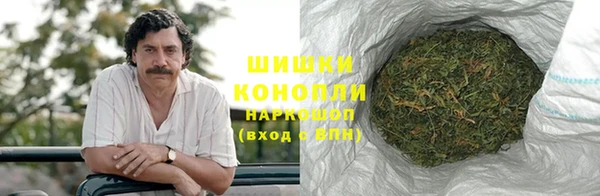 ПСИЛОЦИБИНОВЫЕ ГРИБЫ Новозыбков