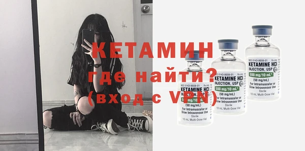 ПСИЛОЦИБИНОВЫЕ ГРИБЫ Новозыбков