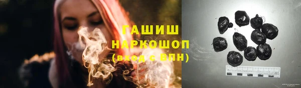 ПСИЛОЦИБИНОВЫЕ ГРИБЫ Новозыбков