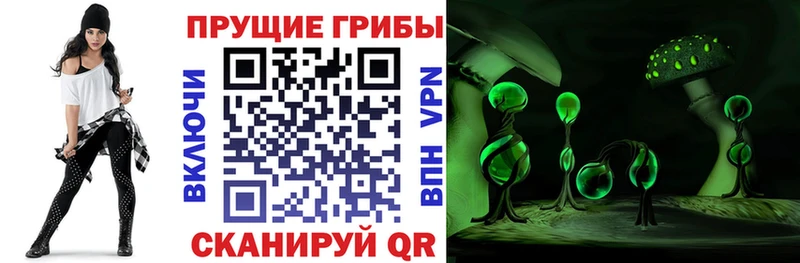 Галлюциногенные грибы MAGIC MUSHROOMS как найти Димитровград