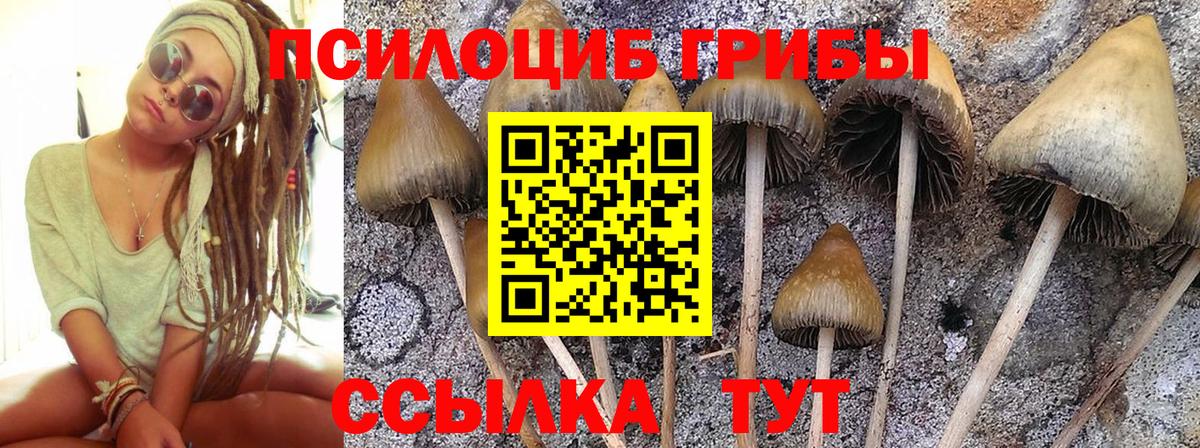 Димитровград  ТГК  Экстази  КОКАИН  Купить наркотик  Вход с VPN  Каннабис  Метамфетамин  Меф МЯУ МЯУ  Меф кристаллы 