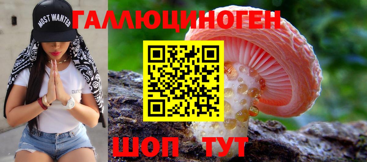 Псилоцибиновые грибы прущие грибы  Димитровград 